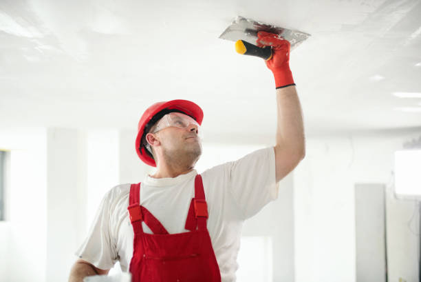 Wallpaper Removal and Painting in Chico, WA